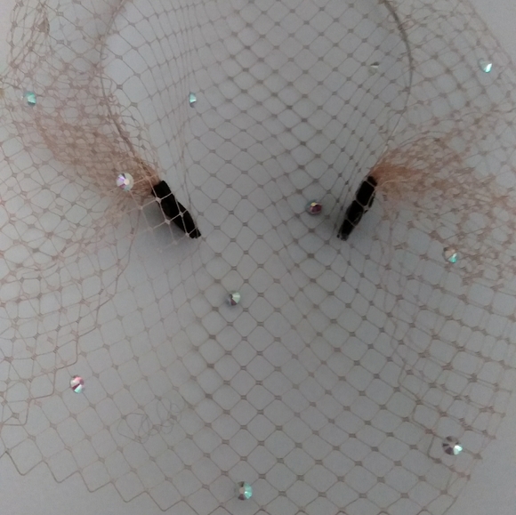 Irridescent crystal embellished Nude Birdcage veil
